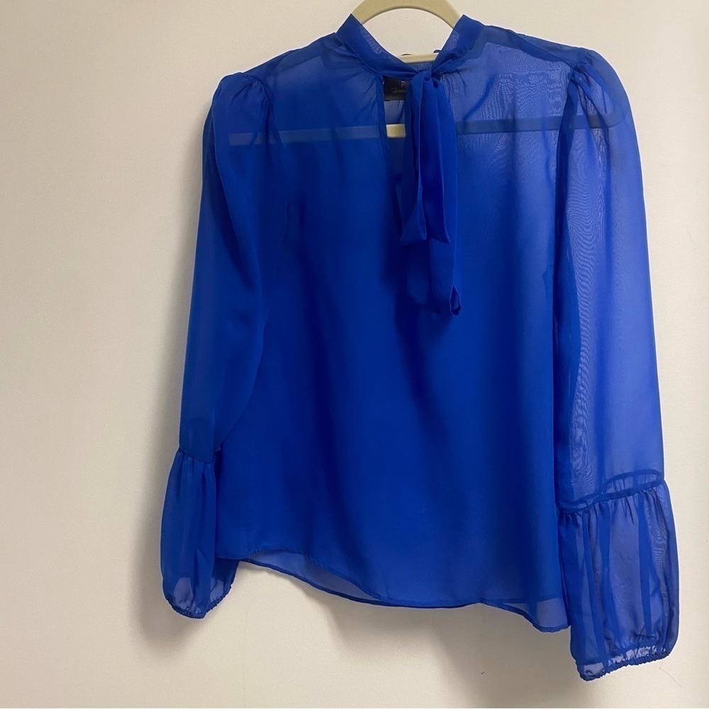 PJK Patterson J. Kincaid sheer blouse